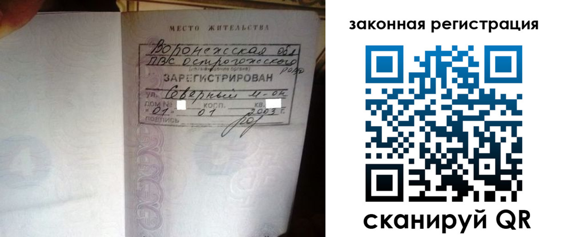 прописка поиск в Кохме